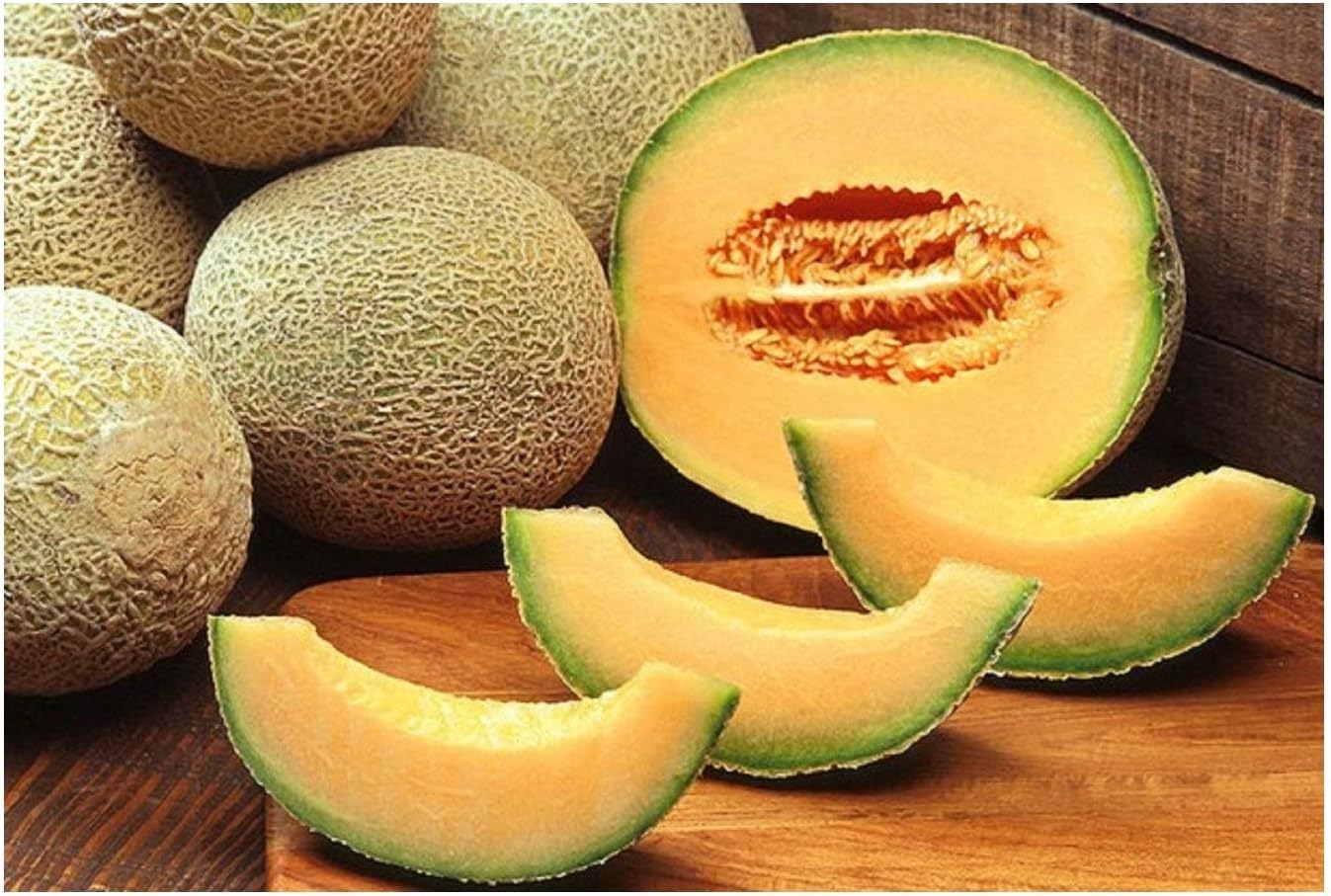 PREMIER SEEDS DIRECT - Melon - Cantaloupe - Hearts of Gold - 80 Seeds, Orange