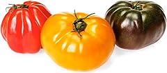 Heirloom Tomato