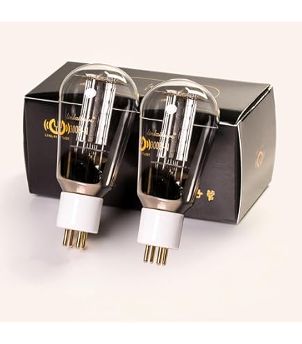 Amazon.com: LINLAI ZX-300B 1pair ZX Series Vacuum Hifi Valve