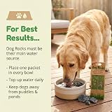 Dog Rocks Urine Patch Preventer 200g Natural Pet Water Filter Grass Repair view 2