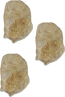 Wasserkaskaden Wasserfallset Fulda 3-teilig Bachlauf Fels, Beige/Braun, a´60 x 41 x 8 cm/ 3-teilig