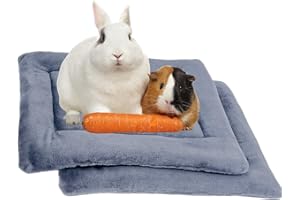 REEZEIVI 2 Pack of Plush Guinea Pig Bed Pillow,Washable Soft Small Animal Bed Mattres,Breathable Air Mesh Rabbit Hamsters Bed, Easy Clean and Quickly Dry Small Animal Guinea Pig Beding