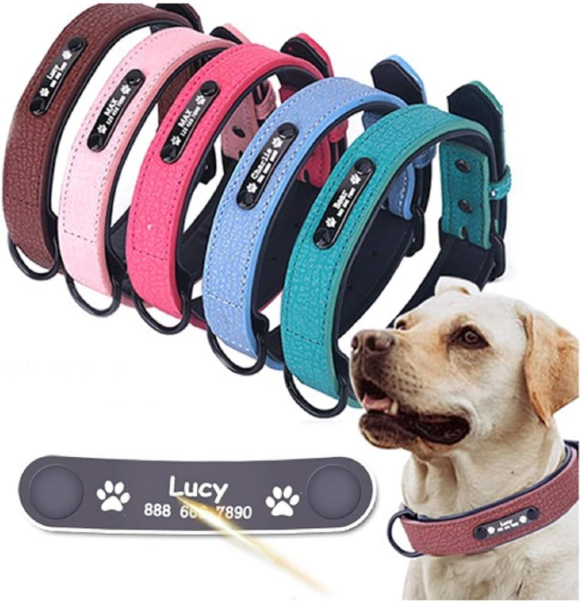 Custom dog accessories Clearance