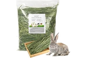 Ohcool Timothy Hay 1.1LB - Dust Free Natural Green Fresh Food Hay for Rabbits Tortoise Guinea Pig Chinchilla