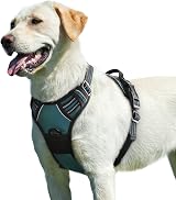 Eagloo Dog Harness Large No Pull Front Back Clips Reflective Dark Green