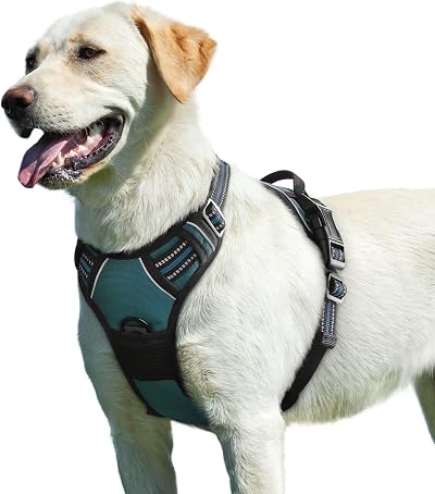 Eagloo Dog Harness Large No Pull Front Back Clips Reflective Dark Green