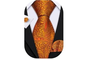 Barry.Wang Paisley Tie Fashion Set Hanky Cufflinks Neckties for Men Woven Silk