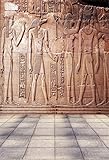 Leyiyi 6x8ft Photography Background Egypt Mural