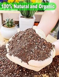 TOYPOPOR Succulent Soil, Cactus Potting Mix 6