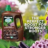 Maxicrop All Purpose Plant Growth Stimulant 2.5L Seaweed Based Biostimulant view 2