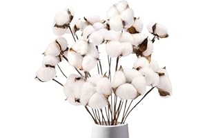 DomeStar Cotton Stems 8 Packs with 15 Bolls, Natural Dried Flowers Cotton Sprigs for Vase Fillers and Floral Arrangements - Fall Decorations and DIY Crafts