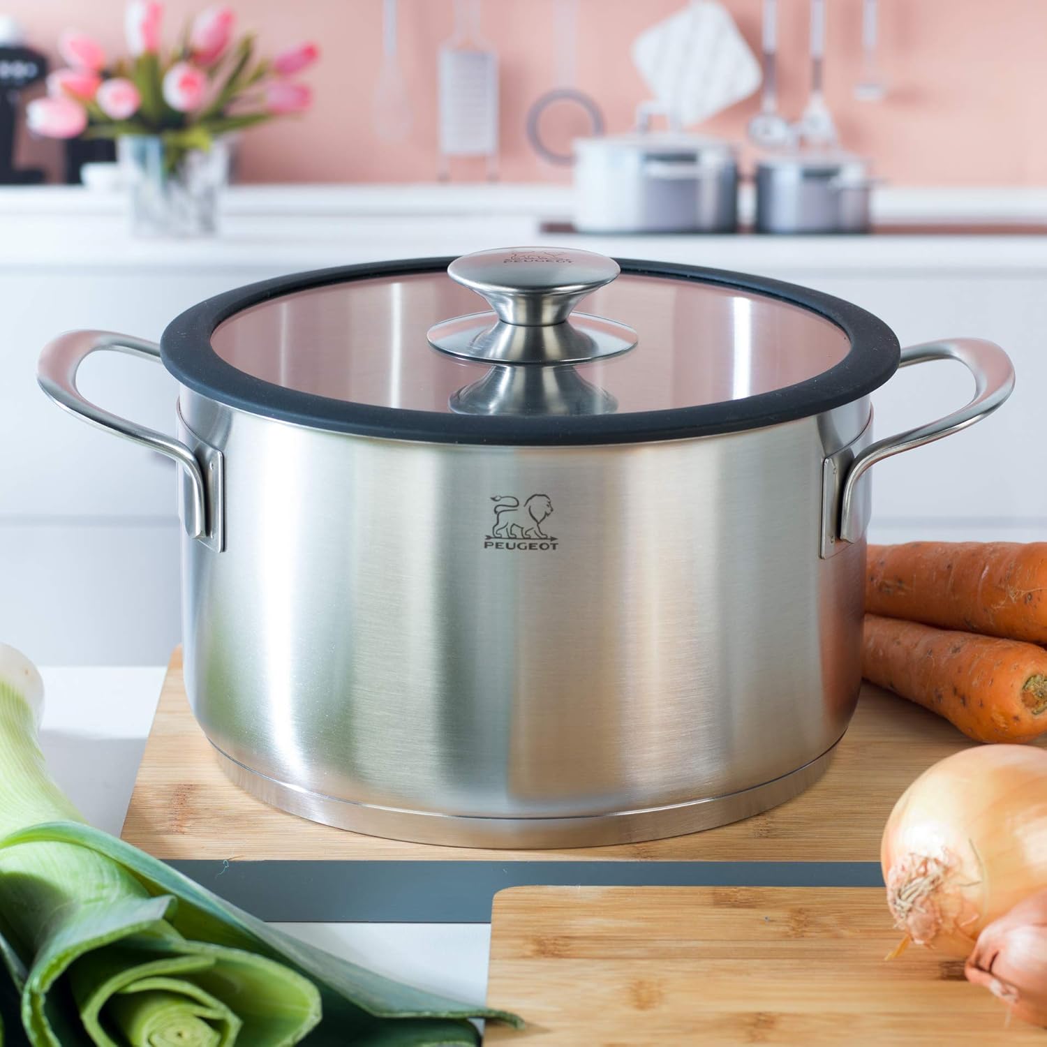 Stainless Steel Peugeot VP4004 Cooking Pot with Lid 20 cm Cookware