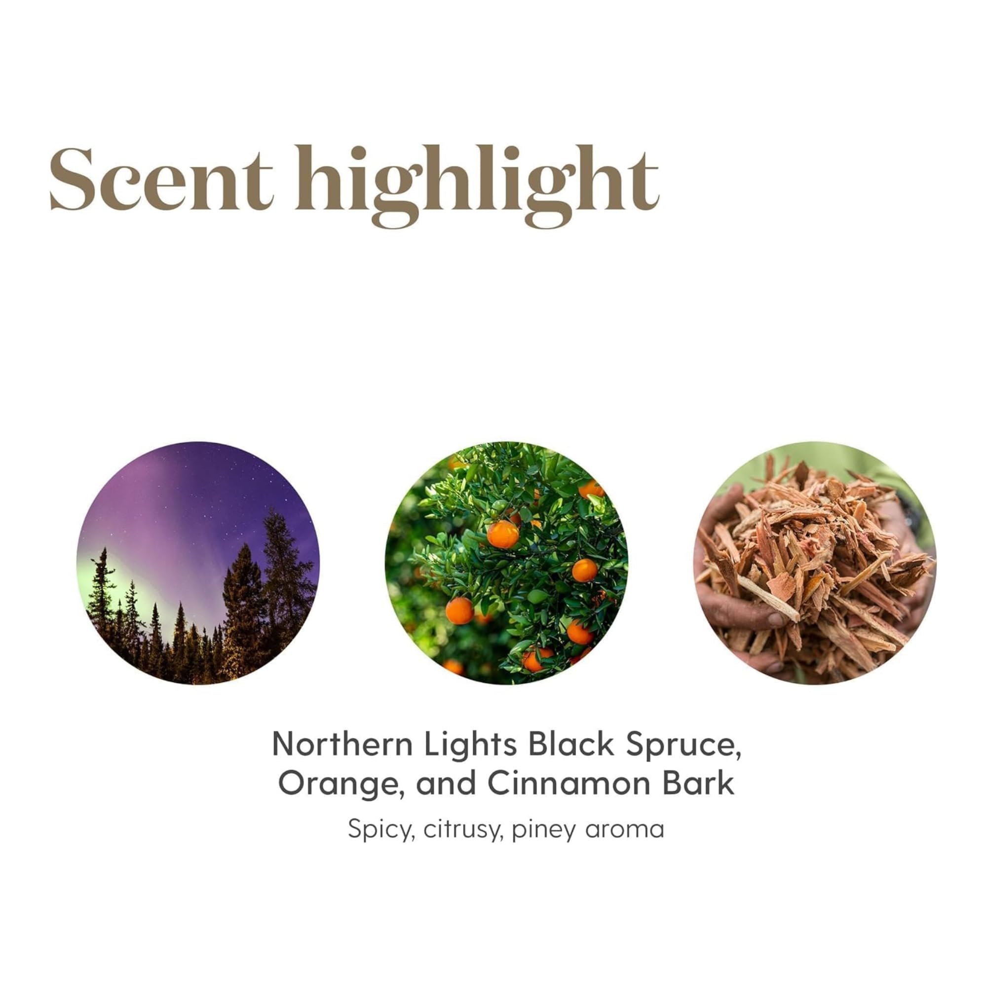 Young Living - Christmas Spirit | Festive Essential Oil Blend for Diffusers | Aromatherapy for Holiday Cheer, Winter Memories, & Natural Air Freshening | 5 ml