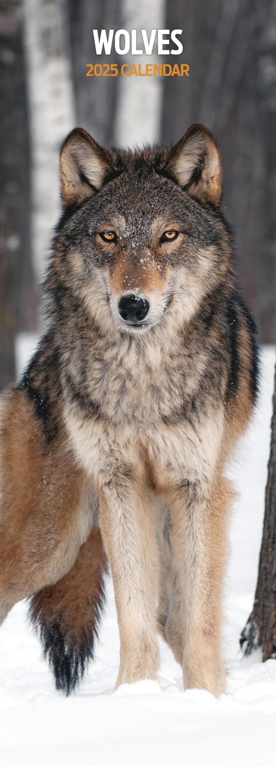 Wolves 2025 Slim Calendar