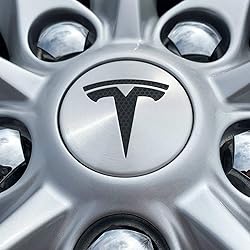 Logo Decal Wrap for Tesla Model S, Nosecone, 14-pc