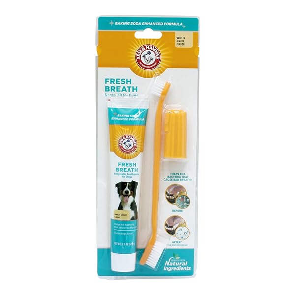 ARM & HAMMER FOR PETS FRESH BREATH KIT FOR DOGS | CONTAINS TOOTHPASTE, TOOTHBRUSH & FINGERBRUSH | REDUCES PLAQUE & TARTAR BUILDUP | SAFE FOR PUPPIES, 3-PIECE KIT, VANILLA GINGER FLAVOR