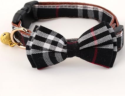 burberry dog collar amazon