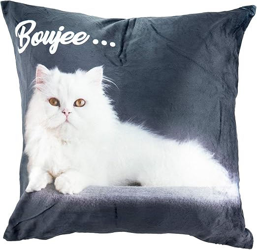 Amazon Com Funny Boujee Cat Throw Pillow Covers Comfortable