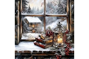 MjhRcll Christmas Diamond Painting Kits for Adults,Winter Landscape Diamond Art Kits Full Round Drills,Books and Windows Paint with Diamonds for Home Wall Decor 14X14 Inch