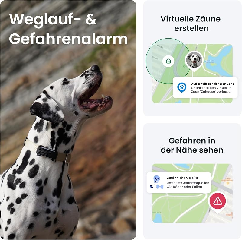 Smarter Hunde GPS Tracker | Bundle mit Cover | Modell 2025 | Live-GPS-Ortung | Weglaufalarm & Gesundheitswarnungen | Beobachtung der Vitalwerte | Marktführer (Schwarz)