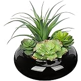 Large Artificial Succulents Plants Faux Succulents in Pots Fake Succulent Arrangement Potted Plants with Black Ceramic Pot for Office Desk Bathroom Shelf Living Room Indoor & Outdoor Home Decor
