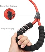 TagME Slip Lead for Dogs 1.8m Reflective Training Leash Red view 3