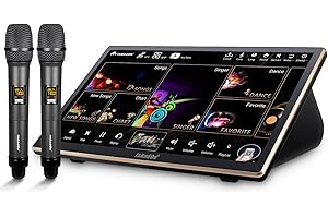 2025 InAndOn Chinese Karaoke System with Wireless Microphone, 18.5 inch Capacitive Touch Screen, 650K Cloud Song Library, YouTube Online Play, 4T