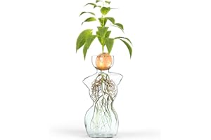 HOYT MERCANTILE CO Elegant Female Silhouette Glass Vase for Plant Propagation and Flower Arrangements - Perfect for Seed Starting, Water Rooting, and Home Decor - Ideal for Avocado, Bulbs, and Plant Cuttings
