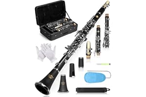 AKLOT B Flat Concert Clarinet: Precision Tone Hole Design for Stable Intonation, Durable Nickel-Plated Keys, Including Stylish Case, Barrel, Full Clarinet Cleaning Kit (Ember-MN)