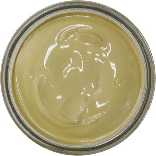 Grison Leather Renovating Cream for smooth leather Shoes