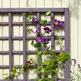 Cuprinol Garden Shades Lavender 2.5L Exterior Wood Finish view 8