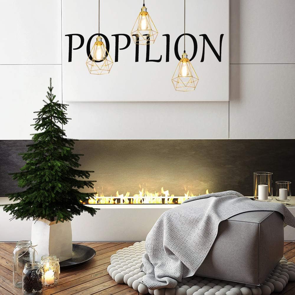 POPILION Vintage Simple Style Polygon Adjustable Cord Hanging Ceiling Gold Pendant Light, 1-Light Pendant Lighting Fixtures - - 