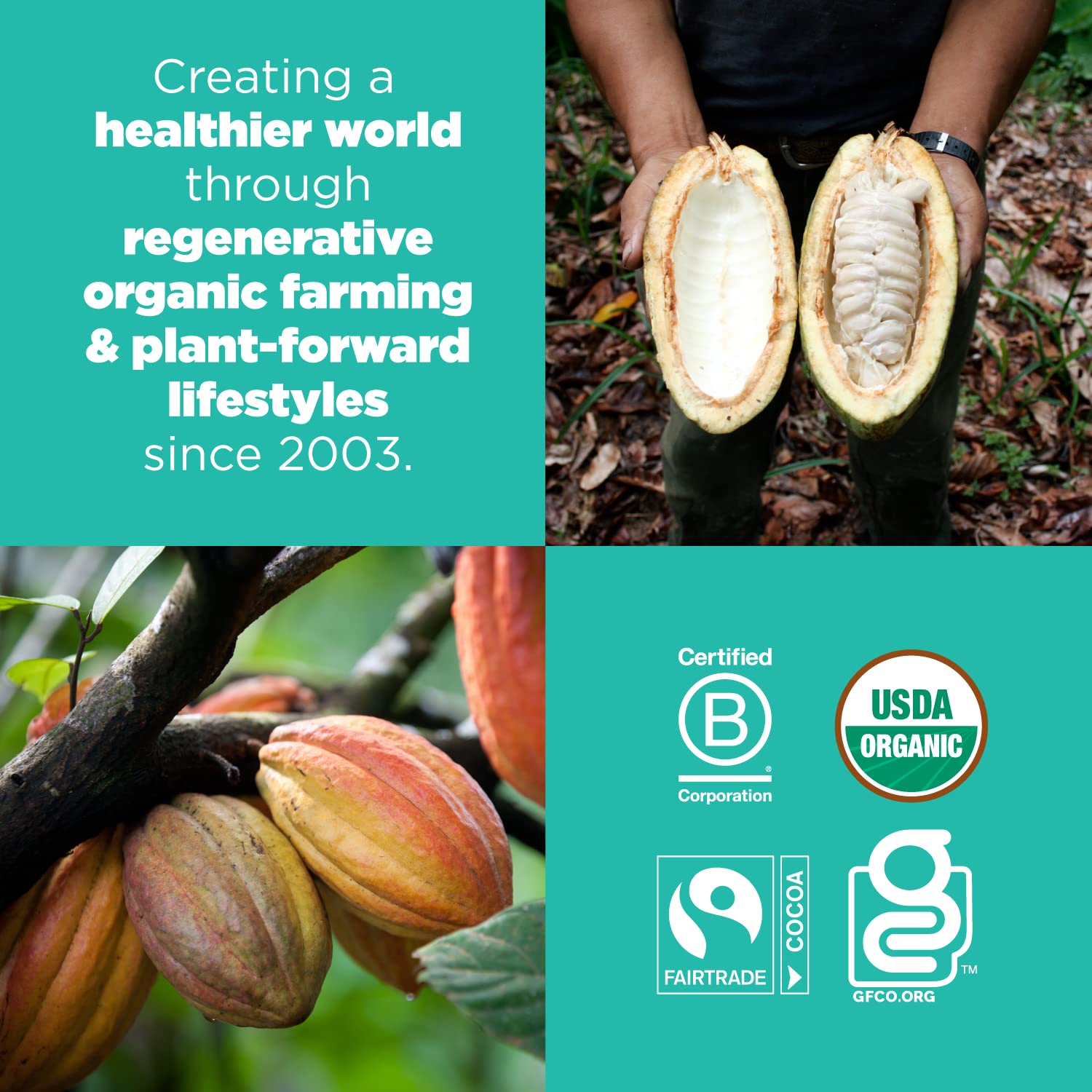 Navitas Organics Chocolate Brownie Superfood+ BITES – Power Snacks – All Natural Plant Based – Clean Energy & Nutrition – USDA Organic, Non GMO, Gluten Free, Kosher, Vegan (8oz. Bag 11 Servings)