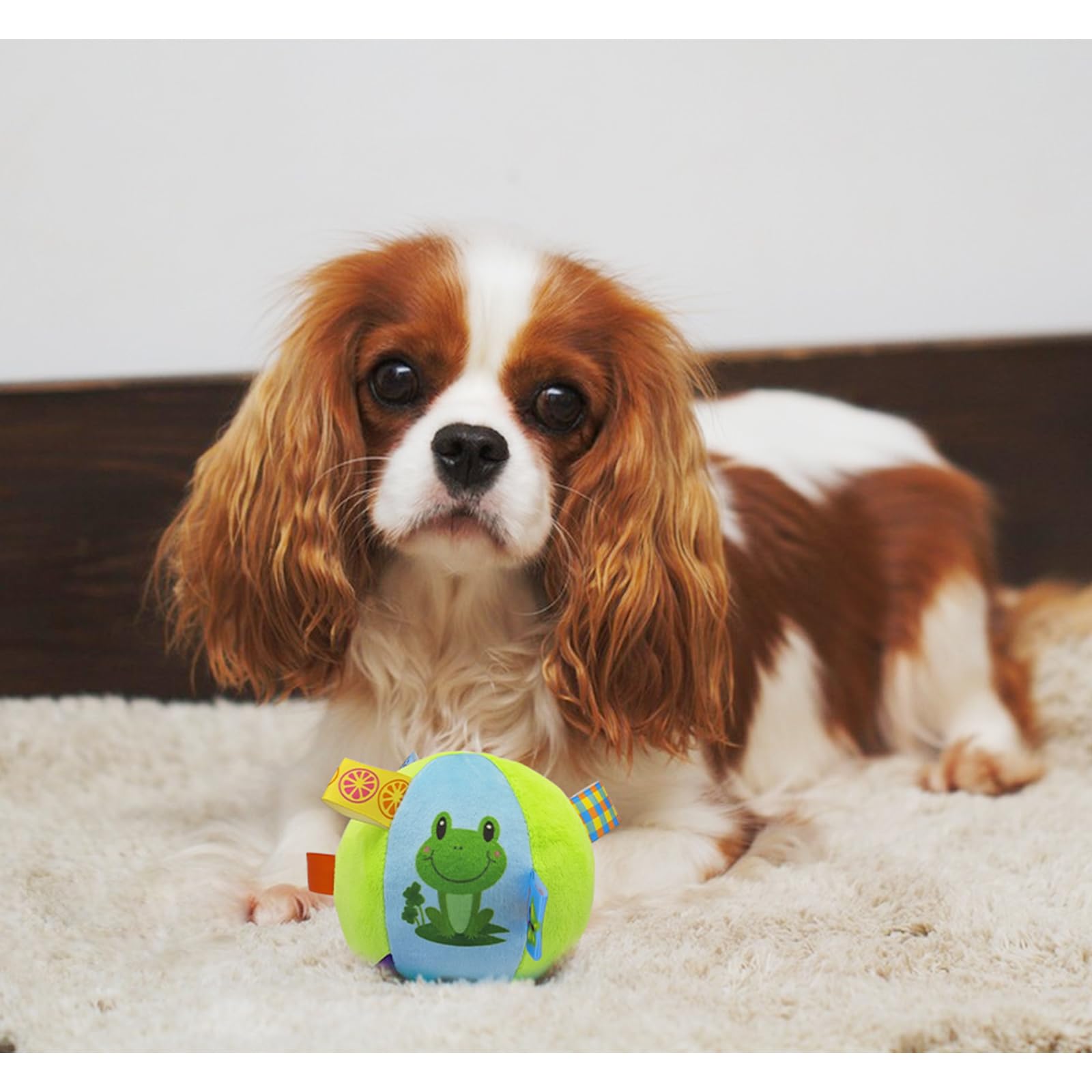View 6