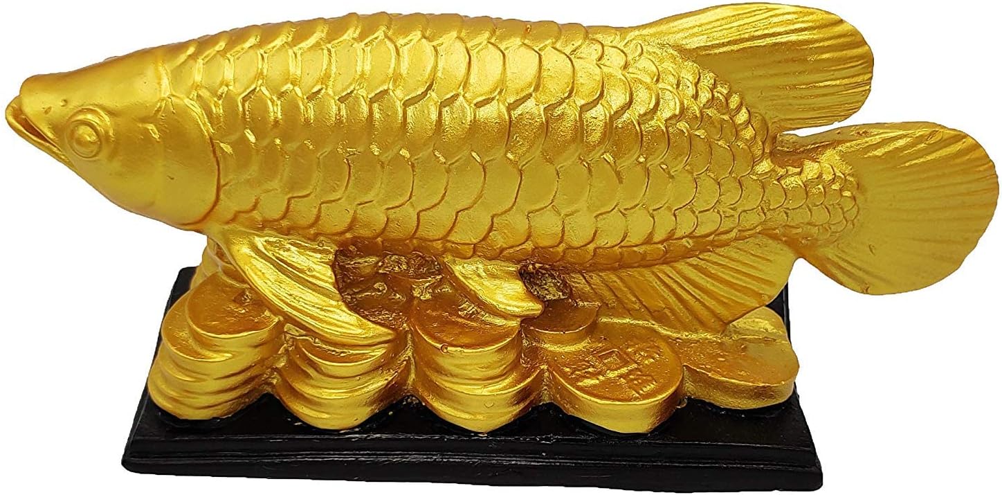 Crafting Bear Feng Shui Golden Arowana Fish Strong Wealth Symbol & Protects (Polyresin, Gold)