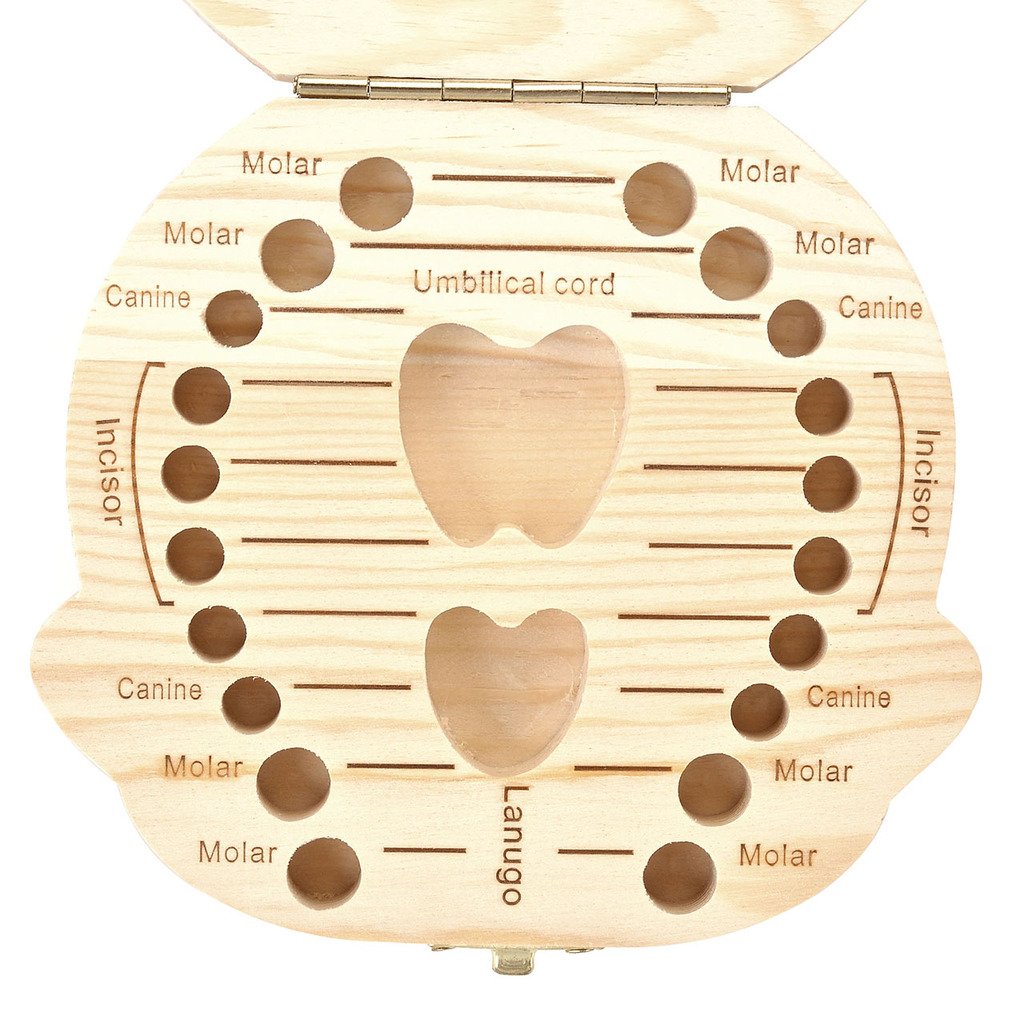 Mogoko baby Kinder Original Holz Haar Milchzahndose Milchzähne Zähne box Kasten mit Englisch Version Souvenir Aufbewahrungsbox (Mädchen)