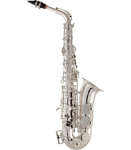 Amazon.com: Selmer Aristocrat AS600 Alto Sax W/Case : Musical