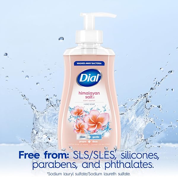 DIAL LIQUID HAND SOAP, HIMALAYAN SALT, 7.5 FL OZ