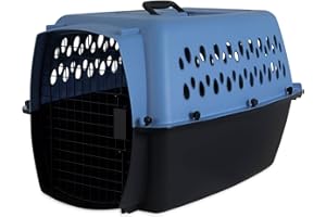 Petmate 21090 Pet Taxi Fashion Kennel, Large (Samba Red/Coffee Grounds)