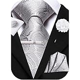 Hi-Tie Mens Paisley Floral Striped Ties Set Silk Necktie and Lapel Pin for Men Pocket Square Cufflinks Set Business Wedding