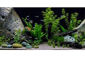 AWERT Vinyl Underwater Aquatic Plant Fish Tank Background Stone River Bed & Lake Aquarium Background 48x24 inches