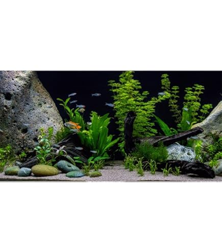 Fish Tank Background Static Cling Black Fish Tank Backdrop Aquarium Poster Aquarium Backdrop Aquarium Wallpaper Decorations I5092292732
