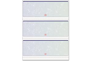 PARIS BUSINESS DocuGard 04539RM Premier Prismatic Check, Blue/Green, 3/Page, 13 Features, 8 1/2 x 11, 500/RM