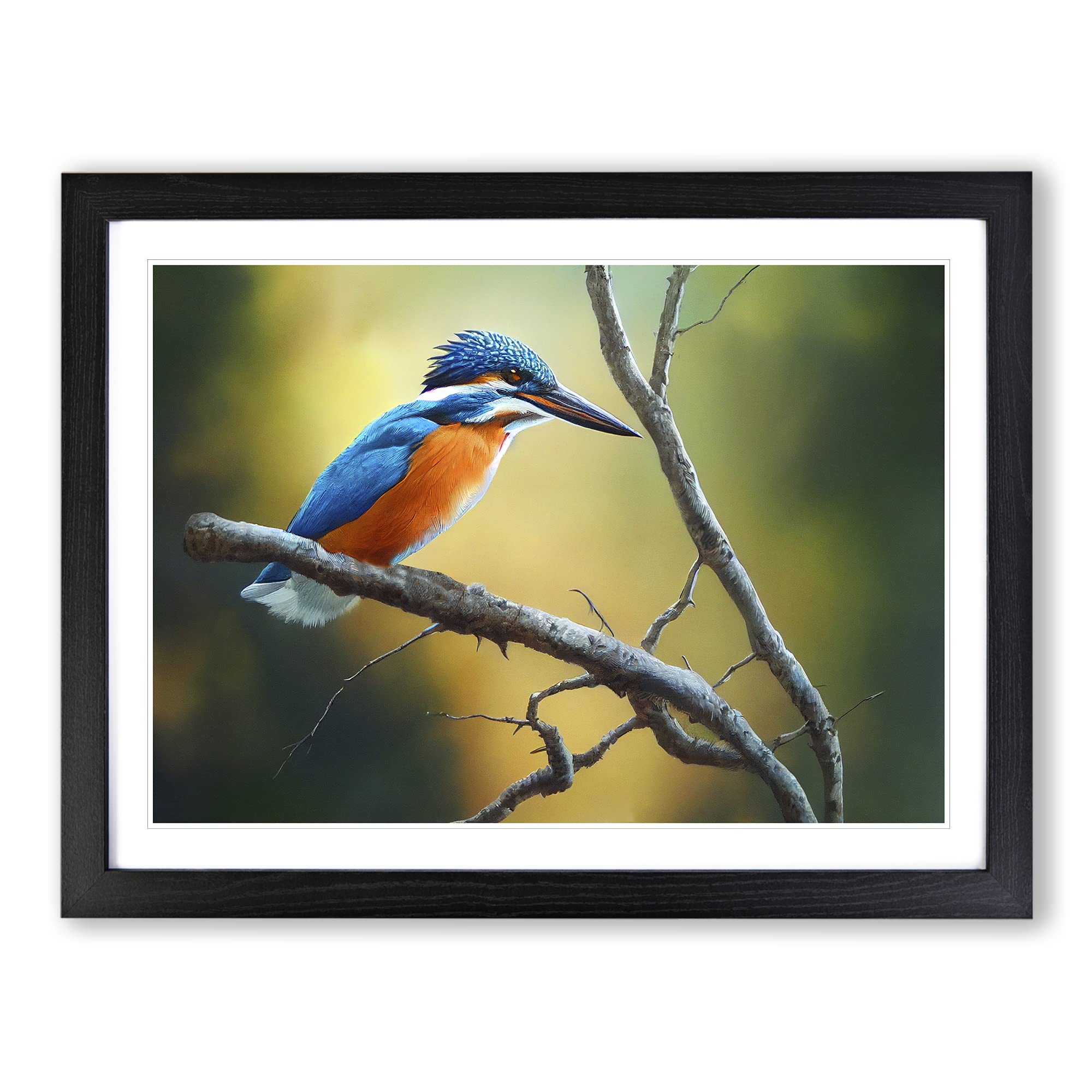 Cool Kingfisher Bird Framed Print | A4 Black Framed Wall Art | Ready to Hang | Modern Nature Picture | Living Room Bedroom Lounge Office