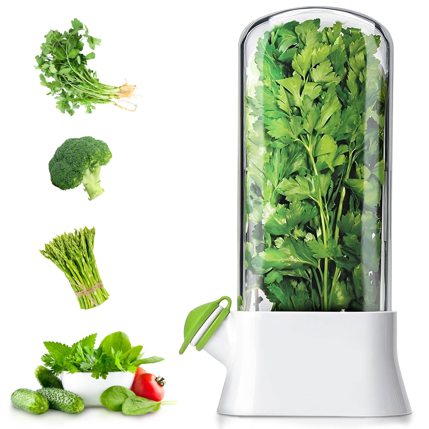 Photo 1 of Whisurn  Keeper for Refrigerator - Premium Herb Saver, Keep Cilantro Fresh, Versatile Herb Keeper for Prolonging Freshness of All Herbs