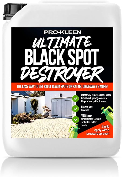 ProKleen Ultimate Black Spot Remover and Destroyer for Patio, Stone