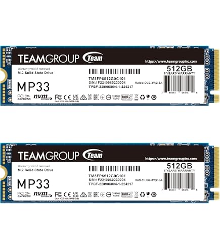 Amazon.com: Patriot P300 512GB Internal SSD - NVMe PCIe Gen 3x4