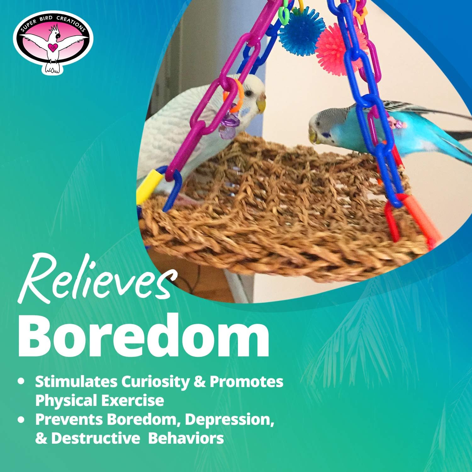 Super Bird Creations Mini Flying Trapeze Toy for Birds : Pet Supplies