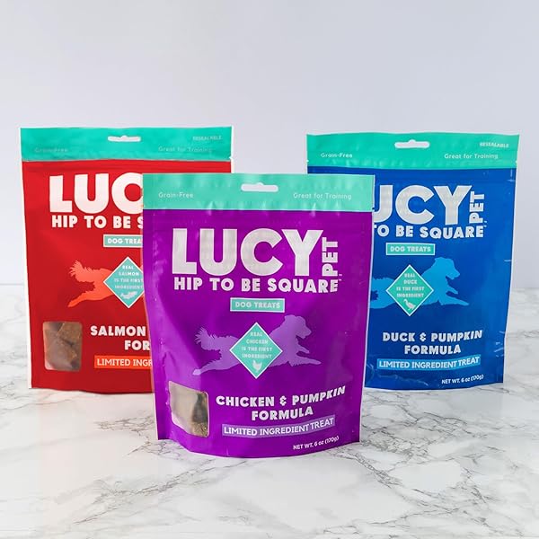 LUCY PET HIP TO BE SQUARE CHICKEN AND PUMPKIN DOG TREATS 6OZ