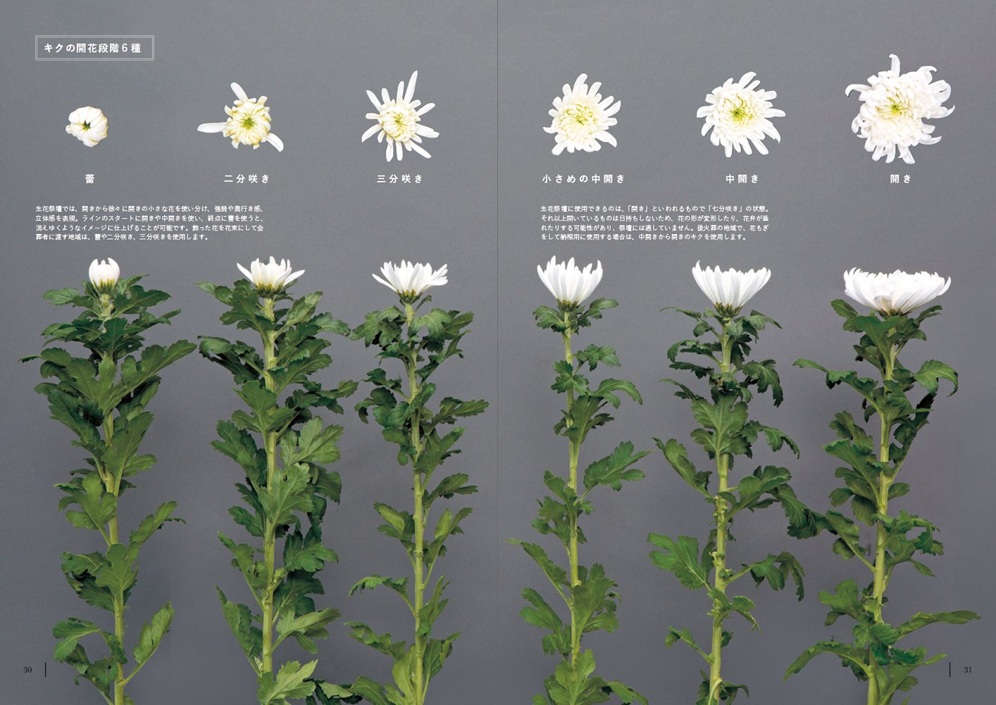 Japanese Fresh Altar Beautiful Fresh Flowers To The Altar Foundation Technique Complete Version Amazon Com Books